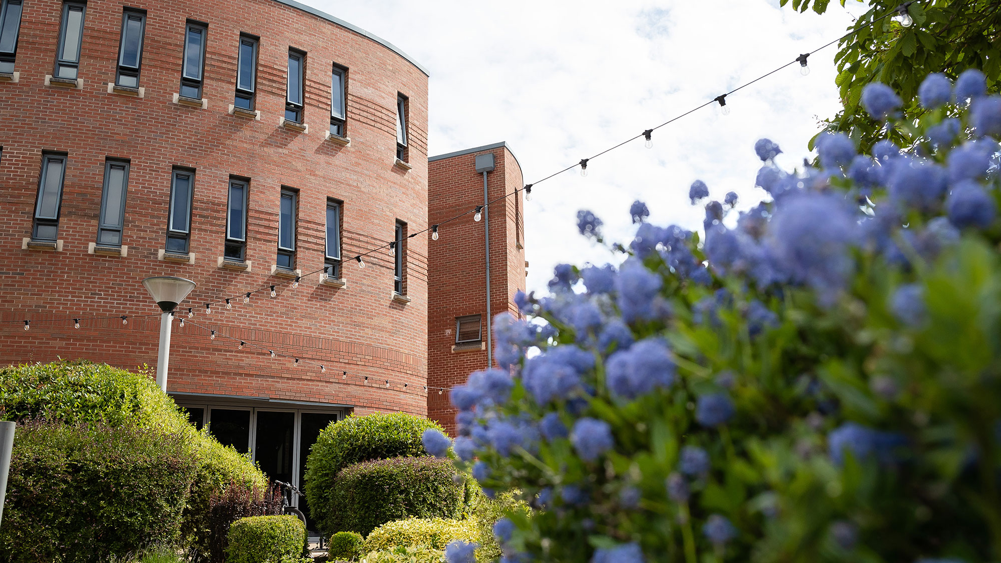 University of Sanctuary status and sanctuary initiative